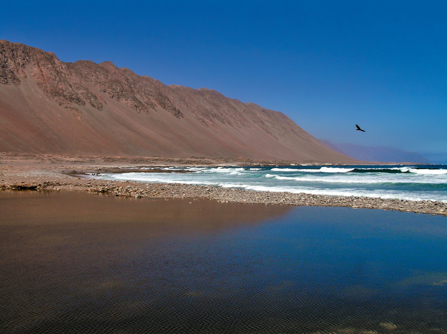 Desembocadura del río Loa: Bien Nacional Protegido