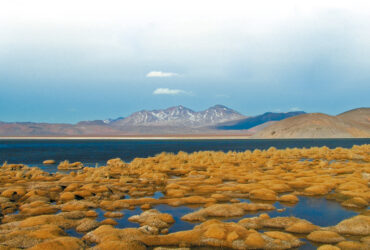 Ruta Patrimonial Desierto de Atacama