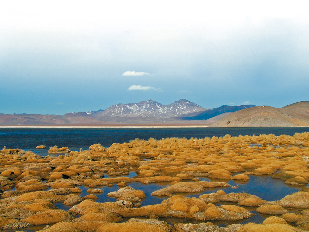 Ruta Patrimonial Desierto de Atacama