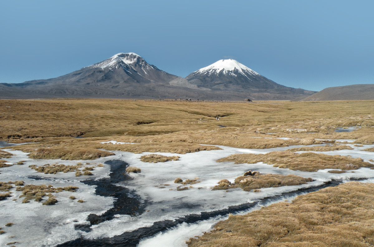 Ruta Patrimonial Los Altos de Arica: Precordillera y Altiplano.