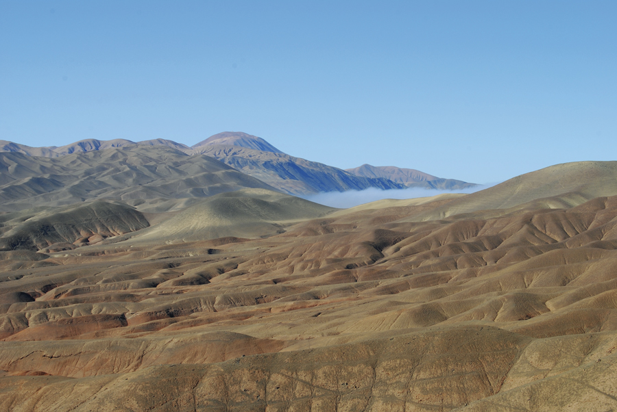 Ruta Patrimonial Oasis de Niebla Alto Patache: Bien Nacional Protegido